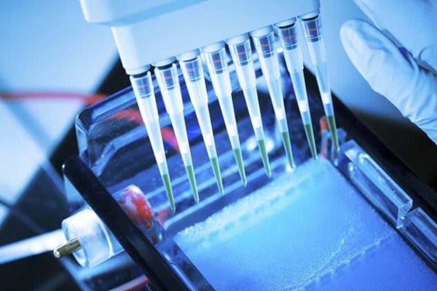 A fast lane to understanding agarose gel electrophoresis: Method and Tips